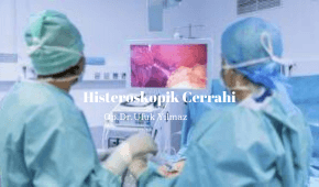 histeroskopik cerrahi